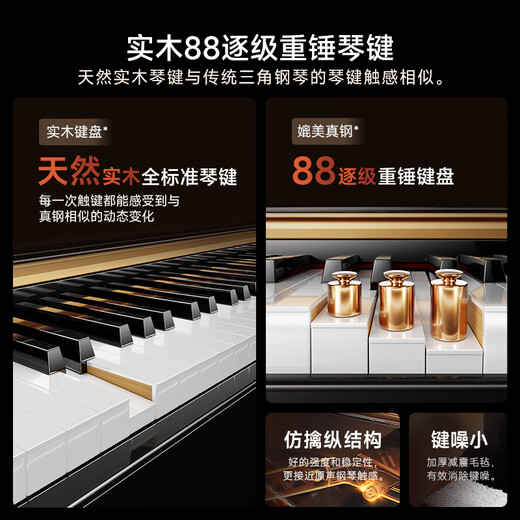 贝琪（Betsy）电钢琴重锤88键级成人初学立式电子钢琴B391烤漆黑-实木键盘+琴凳