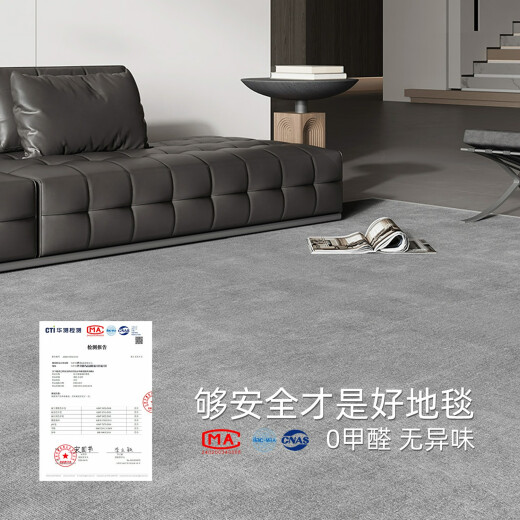 地毯客厅2024新款轻奢沙发毯免洗可擦加厚纯色床边毯灰色地垫 冬岩-16780 1件 140CM*200CM新升级防水丝