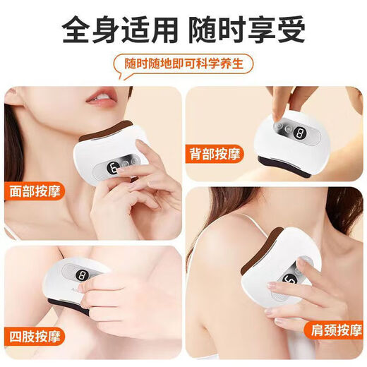 Renjichun German electric scraping board scraping instrument facial smart meteorite electric heating whole body massage eye and face electric instrument beauty scraping instrument fat burning hot compress vibration turquoise green red meteorite model with essential oil
