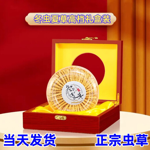 冬虫夏草礼盒装精品藏区虫草当天发货送礼首选正宗雪域冬虫夏草 西藏那曲高海拔虫草4条1克100条