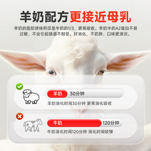 Baidar kitten goat milk powder for newborn cats, special pets, puppies, elderly cats, full-stage rehabilitation nutrition, 0 lactose goat milk