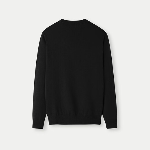 HLA Hai Lan House sweater men's pattern embroidery warm round neck casual sweater men's autumn and New Year