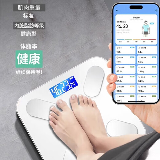 体重秤体脂秤电子秤 米家APP家用精准减肥专用体重秤体脂秤电子秤体重秤体脂秤电子秤人体秤体脂秤 智能体脂秤-白色 电池款【米家APP】