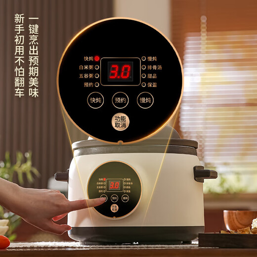 Electric stew pot steamer electric cooking pot stew pot casserole stew and steam all-in-one food supplement pot stew soup cup electric stew pot electric casserole soup pot stew water-proof porridge multi-function 6L purple sand reservation time 5-8 people