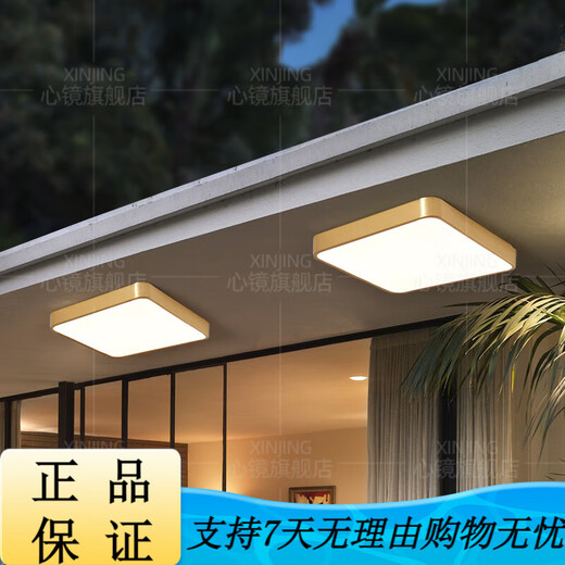 
Heart mirror full copper outdoor ceiling light villa gate ultra-thin front light outdoor aisle balcony lamp anti-mosquito courtyard light X3893-600/square