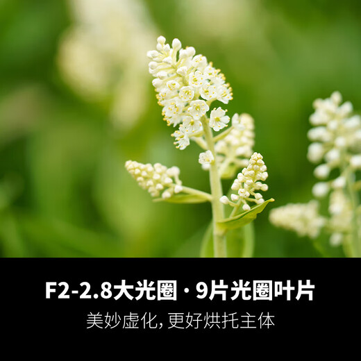 Tamron A058S 35-150mm F/2-2.8 Di III VXD large aperture telephoto zoom lens, portrait travel, Sony FE mount mirrorless camera, free photo filter gift pack