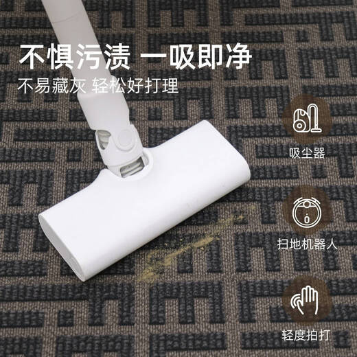入户地垫2025新款进门大门口防滑加厚地毯家用耐脏可擦洗门外垫子 丹瑶-16859 1件数 140CM*180CM大门门口尺寸