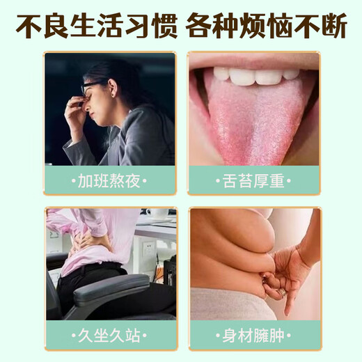 Tongrentang Beijing Tongrentang Corn Shave Tea Mulberry Leaf Tea Dandelion Green Money Willow Burdock Root Official Authentic Health Tea Bags 3 Boxes 160g 40 Packs