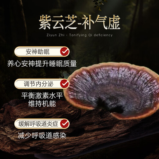 WILAKON/维乐康破壁灵芝孢子粉胶囊增强免疫力术后放化疗中老年人营养品90粒/盒