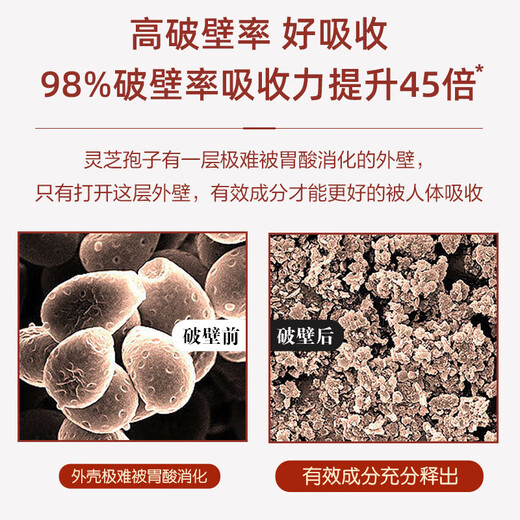 哈药破壁灵芝孢子粉胶囊赤灵芝粉三萜孢子粉 1瓶装