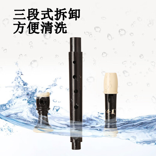 Chimei 8-hole recorder classroom teaching high-pitched German eight-hole recorder with playing instructions