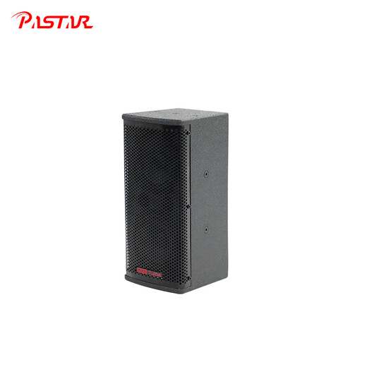 派思达（PASTAR）派思达数码影音音频同声教学系列 TS-6624（定制版）