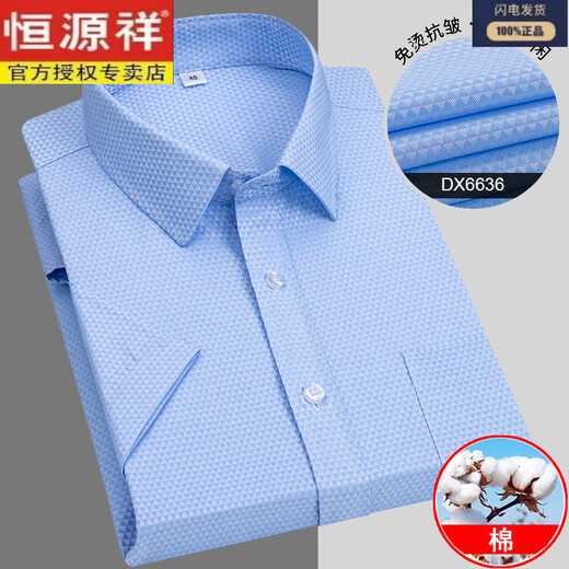 恒源祥短袖衬衫男格子夏季新款男士长绒棉衬衣半袖条纹时尚潮 蓝细格 恒-DX6629 S 38 建议95-115斤左右