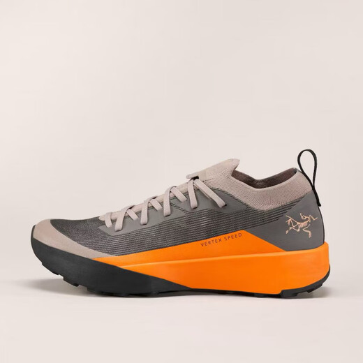 Archaeoptera Bird (arc'teryx) arc'teryx archaeoptera oiseau vertex alpine basse randonnée extérieure chaussures d'escalade 9715 [] Viete de vitesses pour hommes bas noir 40 eu (longueur intérieure 25cm)