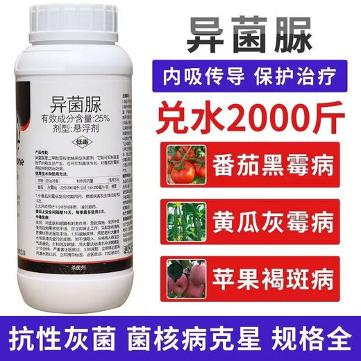 Special medicine for gray mold, iprodione fungicide, epidemic disease, cucumber, leek, tomato, strawberry, grape, fruit tree, gray mold pesticide 1000g