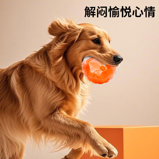 Zanpet round flashing sound ball orange and white, bite-resistant and not easy to rot, teeth grinding training interactive self-pleasure and boredom relief bell ball