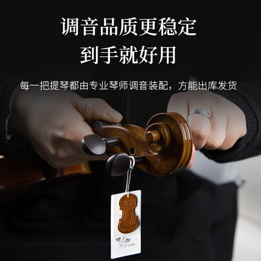 
Taitse S260 Grade Exam Violin Solid Wood Beginner Handmade Children Adult Performance Violin Introductory Practice for Practicing 4/4 Matte Height 155220cm