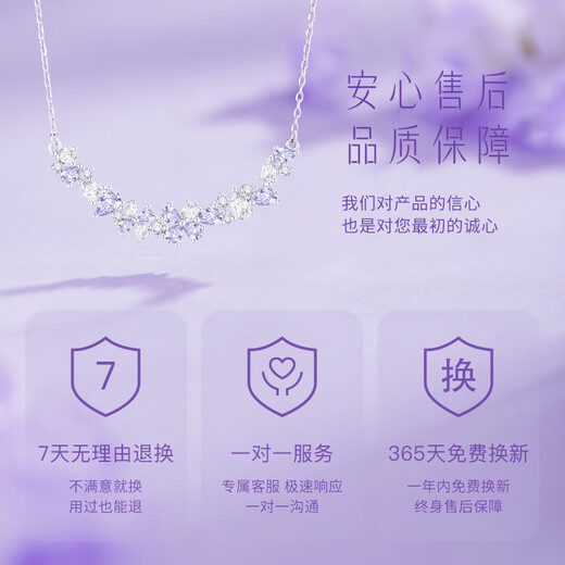 Central Chuang Fashion Chinese Gold and Silver Necklace Girls Clavicle Chain High-end Birthday Gift for Lady Girlfriend Girlfriend Best Friend S925