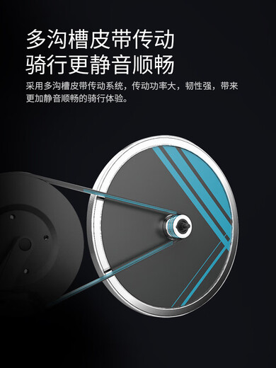 Shuhua (SHUA) B599 dynamic bicycle indoor household model weight loss equipment exercise bike light sports small bicycle A5S shopping mall same model fitness riding online course