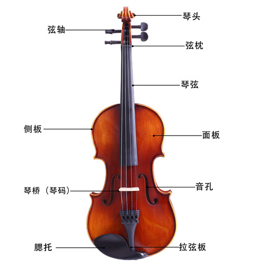 Yutai handgefertigtes Geigenbücher für die Professional Grade Performance Exam Quality Massivholz Europäische Anfänger -Musikinstrumente Erwachsener rotes Brown 4/4