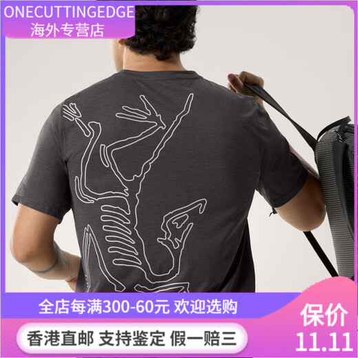 始祖鸟（ARC'TERYX）加拿大代购*始祖鸟Cormac Arc'bird  logo男背后大鸟标 短袖X9721 复古绿X9721 M