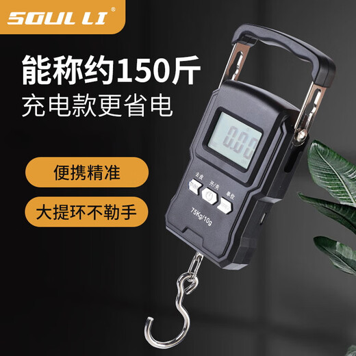 Balance électronique portable de haute précision, petite balance express, crochet domestique portable, crochet à élingue commercial, balance à poisson pour bagages à ressort, balance électronique portable-batterie de 50 kg Modèle chinois Aucune spécification