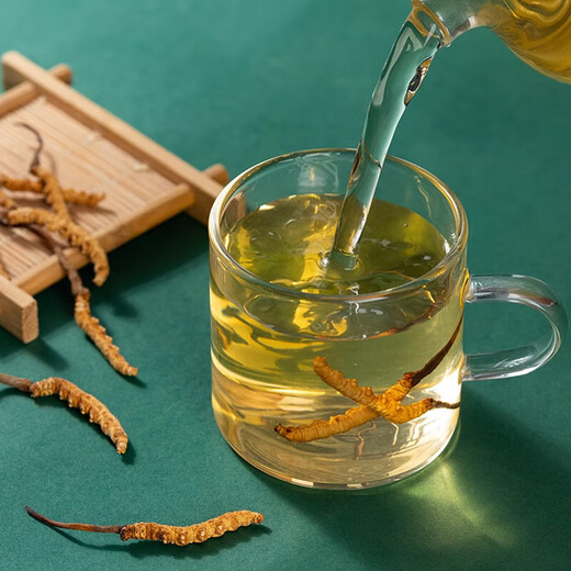 Cordyceps sinensis, Cordyceps sinensis, fresh soaked wine and soup ingredients for the elderly, Cordyceps sinensis, 1 root