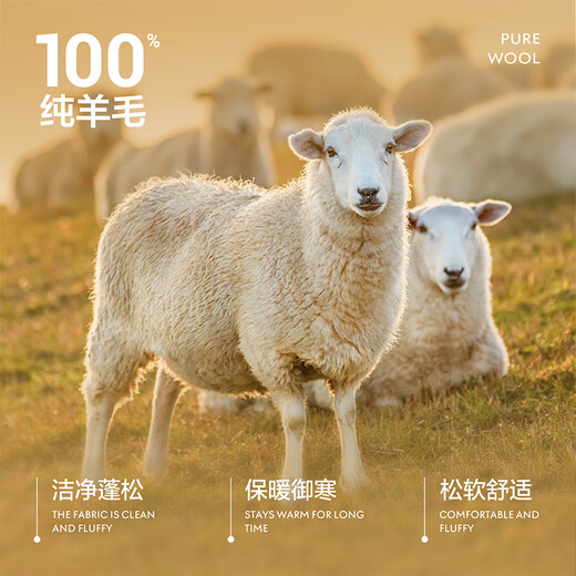 HLA Hailan House Coat Men's Removable Liner Thickened Pure Wool Jacket Men's HWDAD4W017A Black 17 L 175/92AL Recommended 137~150 Jin Jin equals 0.5 kg