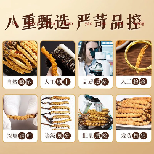 冬虫夏草礼盒装精品藏区虫草当天发货送礼首选正宗雪域冬虫夏草 西藏那曲高海拔虫草4条1克100条