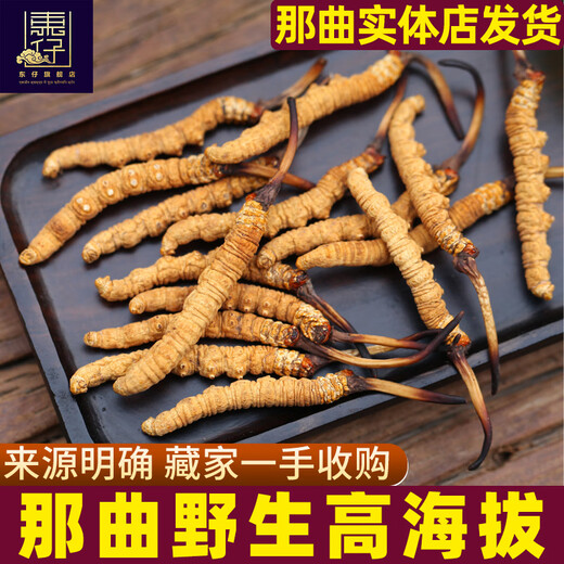Dongzai [Narqu, Тибет] Wild Cordyceps Sinensis Высокая высокая высота дикая кордицепс Sinensis Тоническая подарочная коробка для старейшин [Narqu, Тибет] Небольшая сломанная трава-самоуправление 10 грамм (подарочная коробка)