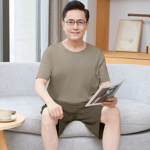 Yalu Dad Pyjamas Sommer reines Baumwollshorts Kurzfilme runder Hals lässig Feste Farbe Großgröße Herrenhauskleidung Set 13601# Hellgrüne Pure Cotton Shorts XL [Vorgeschlagen 120-140jin [Jin gleich 0,5 kg]]