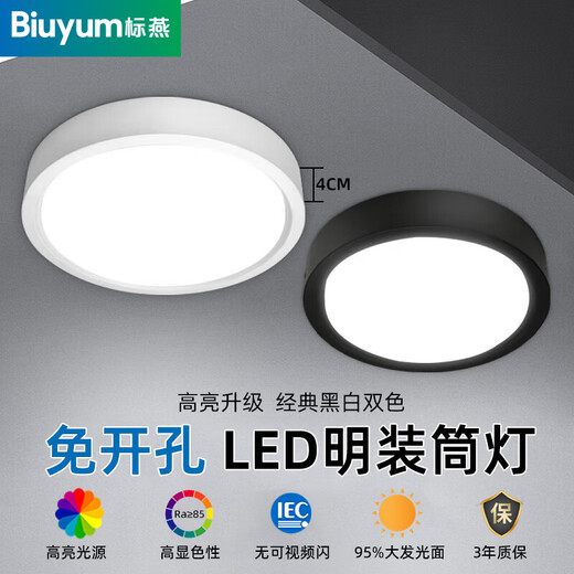 Biuyum ultra-thin surface-mounted downlight, round LED small ceiling installation, ceiling light, aisle light, entrance corridor, entrance ceiling spotlight, white-30W-white light