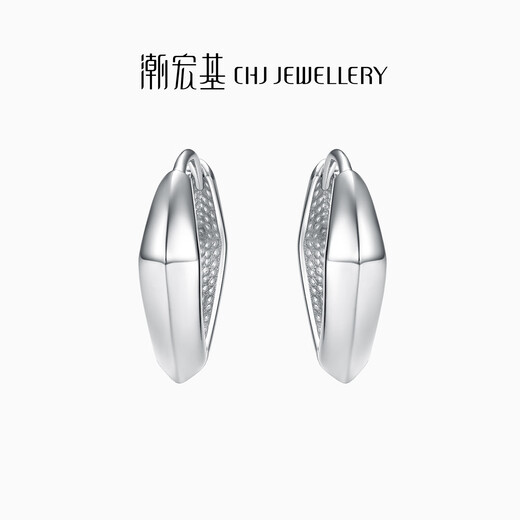 Trendy Acer Geometric Square Platinum Earrings Women's Earrings Single Style Birthday Gift Priced Labor Cost 100 Yuan Approximately 1.3g (Single Style)