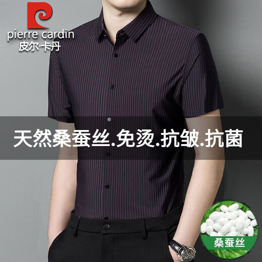 皮尔卡丹高档桑蚕丝短袖衬衫男2025夏季新款条纹无痕免烫商务休闲真丝衬衣 4205#哈青 XL 175码建议130-150斤