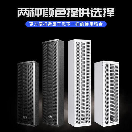 先科会议室音响设备全套装组合家庭影院KTV音乐学校培训专用系统蓝牙功放麦克风一体机壁挂音箱音柱 【两120W音柱】两话筒（推荐100-160平）