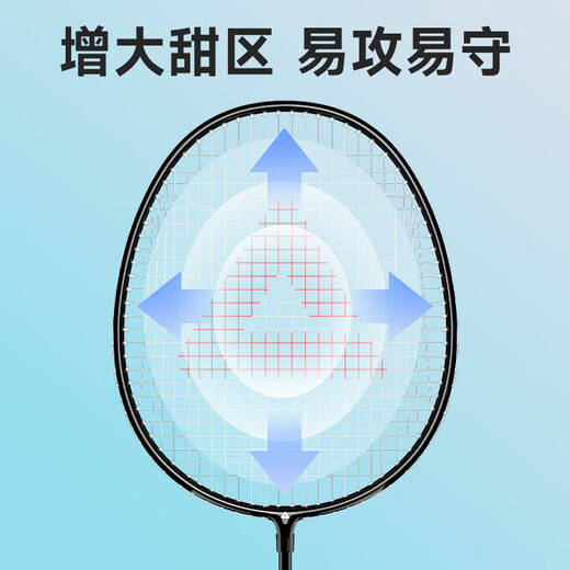 匹克羽毛球拍双拍耐打球拍儿童成人学生初学者套装比赛训练对拍锐星