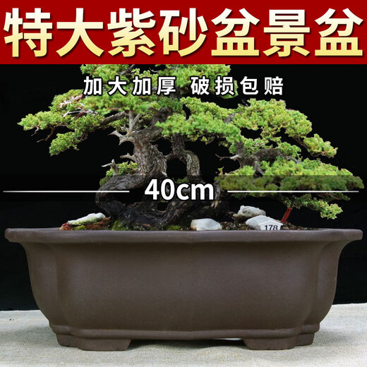 Yixing purple clay flower pot classical ceramic pot succulent pot flower old pile tree planting four square bonsai pot orange red 848 small purple clay