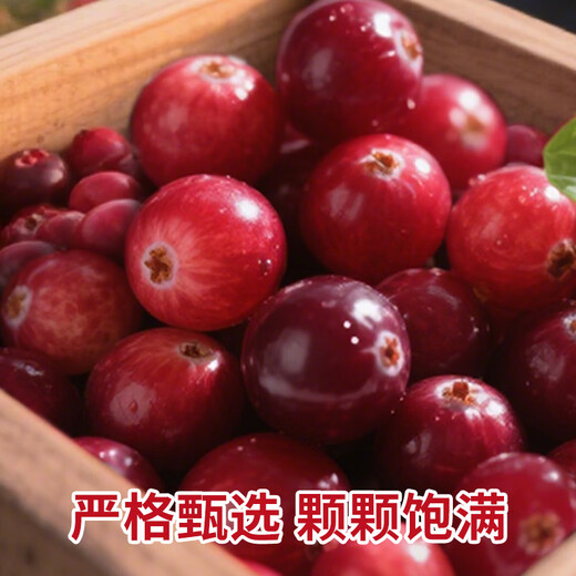 
Youxianpei Chile imported dried cranberries 1049g original flavored candied fruits baking ingredients and snacks