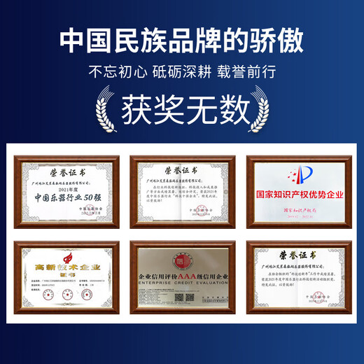 Amason Zhujiang Electric Piano Heavy Hammer 88 Key Adultos Niños para adultos Smart Electronic Piano ADP115