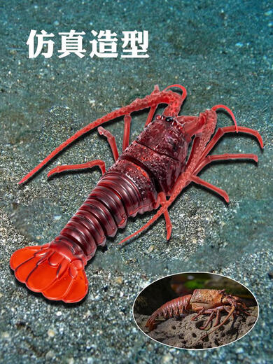 Remote Control Crayfish Mantis Simulation Electronic Pet Animal Children's Fun Moving Toys for Boys and Girls Classic Version-Remote Control Centipede Black Model 9901+ Screws Upgraded Version Comes with 24 Electronics