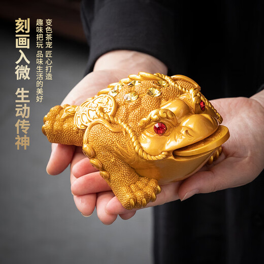 Shi Jian said that high-end boutique products can raise the golden toad that attracts wealth, tea pet ornaments, tea set accessories, luminous backflow fragrant tea play ornaments, small golden toad that attracts wealth (gold)