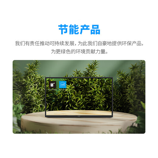 微星（MSI）15.6英寸便携显示器 IPS屏 双Type-c口 内置扬声器 防蓝光 护眼不闪屏 PRO MP165 E6