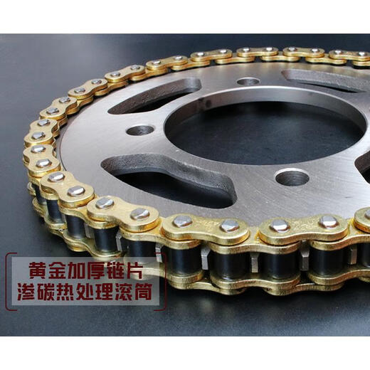 芒芒适用宗申赛科龙RX1摩托链条链盘套装ZS15051大小飞牙盘链轮三 提速三件套16齿45齿黄金链条