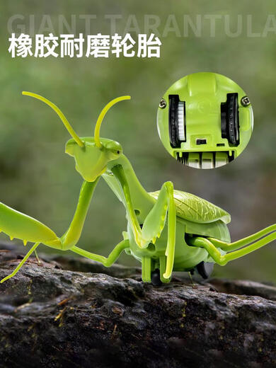 遥控螳螂电动仿真玩具整蛊神器蟑螂男孩会动的蜘蛛网红爬行小动物 经典版-遥控瓢虫红色款9922+螺丝 豪华版另赠36粒电子