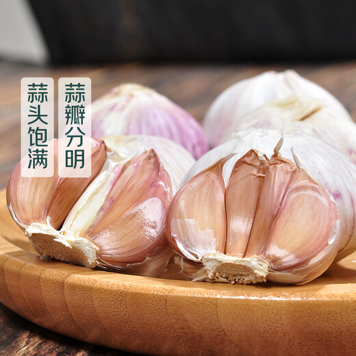Approximately 250g of purple-skinned garlic harvested directly from the production area