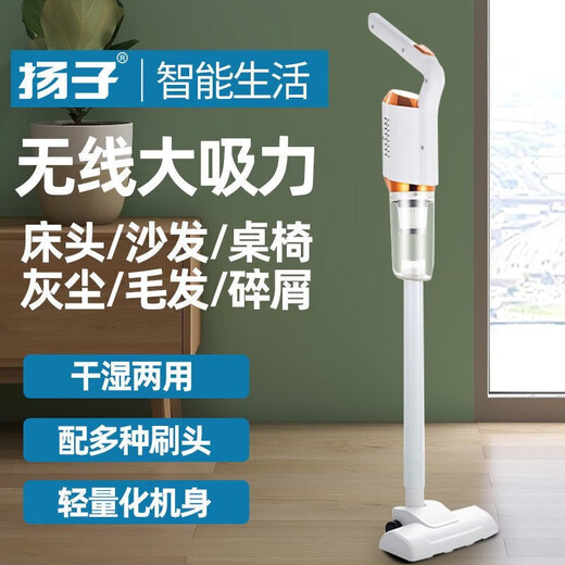 扬子 无线手持吸尘器家用吸尘机扫吸拖三合一扫地机车家两用大吸力除尘机 【祖母绿 升级款】吸尘器+扁吸+地刷+圆刷+小毛刷