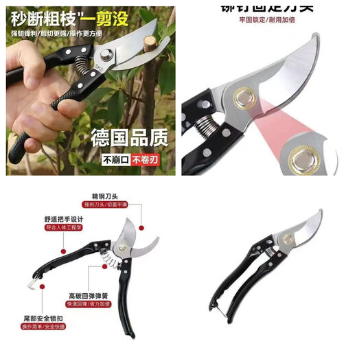German imported steel shears, tree shears, fruit branches, household branch shears, flowers and trees, grape pruning pick ax pick ax grape shears, ultra-thin extra small u shears