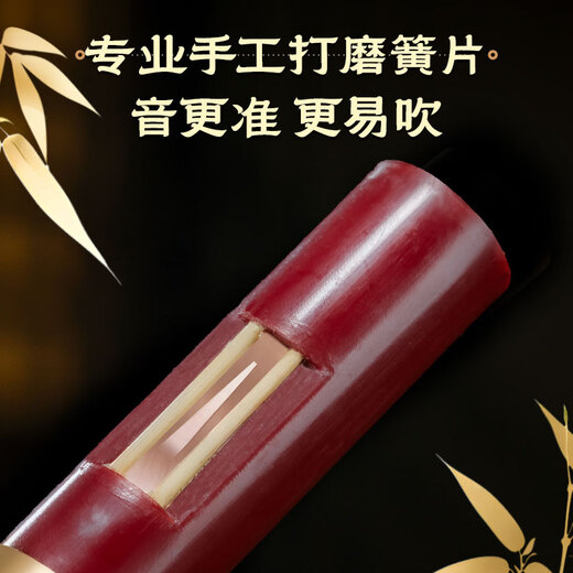 金孔雀红木葫芦丝C调小学生专用成年人降b调初学FG专业演奏级品牌旗舰店 【光面葫芦红木音管】D调+赠品
