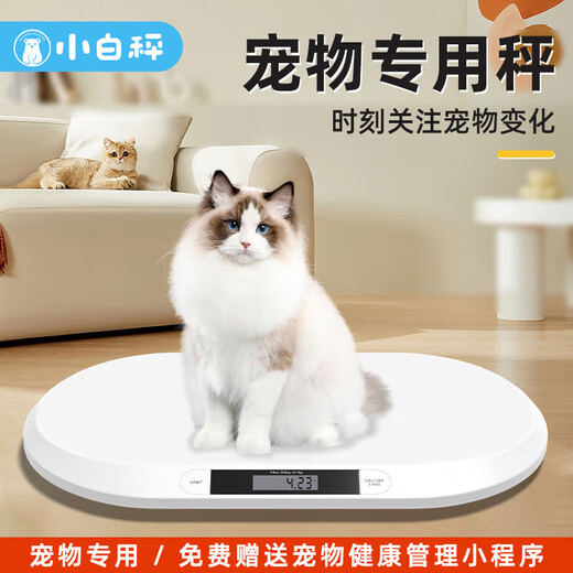 宠物体重秤智能电子秤宠物体重秤猫咪狗狗称重器家用小动物称重婴儿秤宠物店精准 【智能小程序款】中型宠物专用-承重40斤