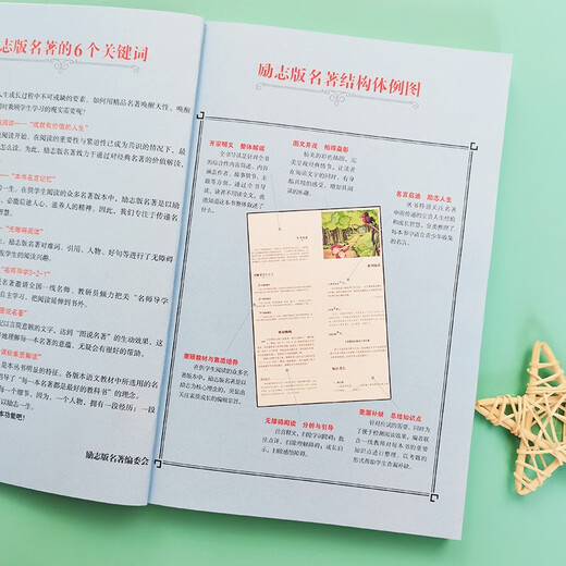 安妮日记中课外阅读 无障碍阅读智慧熊图书9787538768411 684 68411